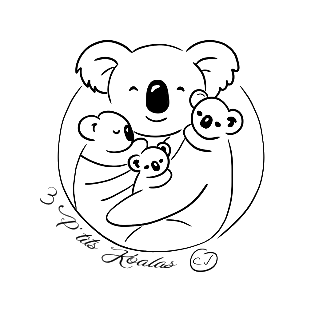 3 P'tits Koalas